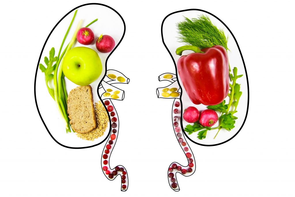 Ποια φαγητά πειράζουν τα νεφρά και ποια συμβάλλουν στην υγεία τους;